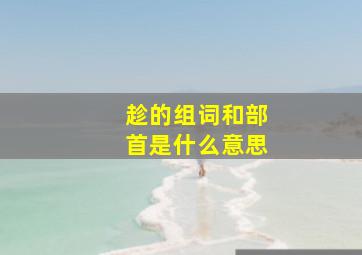 趁的组词和部首是什么意思